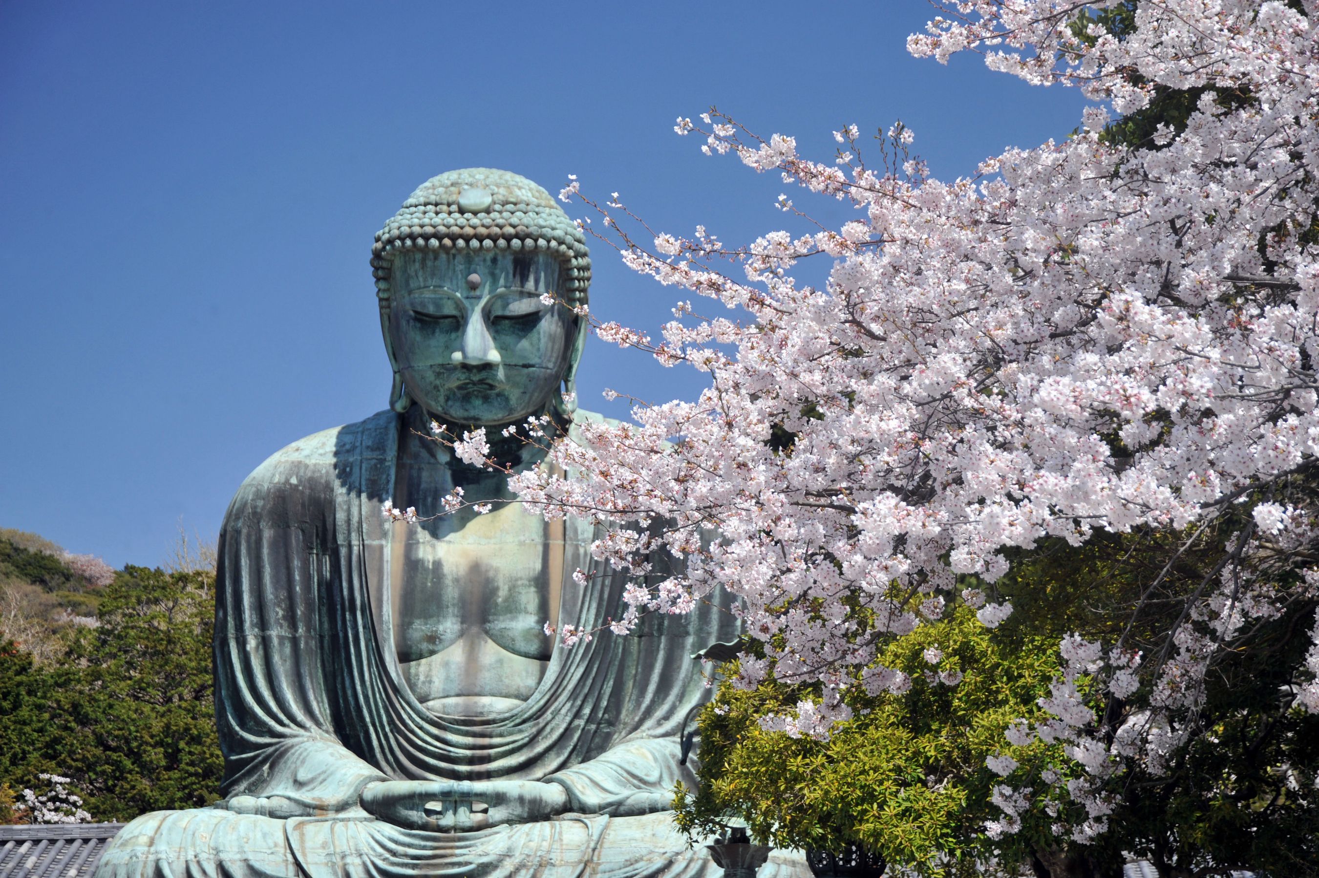 Great Buddha of Kamakura